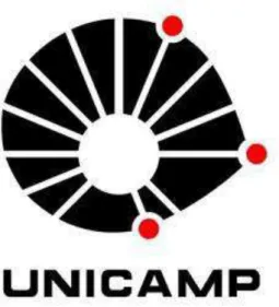 Figura 1 – Logotipo da Unicamp. 