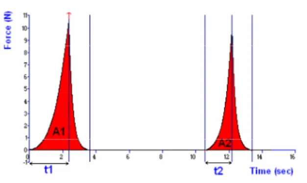 Figure 3 – Example of a TPA[11]. 