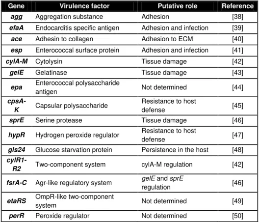 Table 1: E. faecalis genes encoding virulence factors and their putative  roles. 