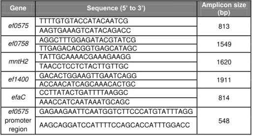 Table 1. List of primers used in this study. 