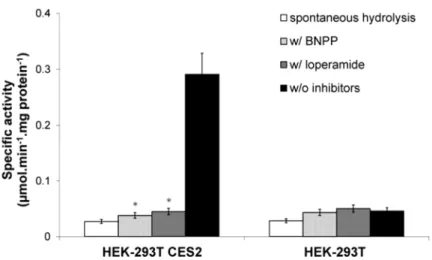 Figure  2.6  Human  carboxylesterase  2  specific  activity  in  HEK-293T  transfected  cells