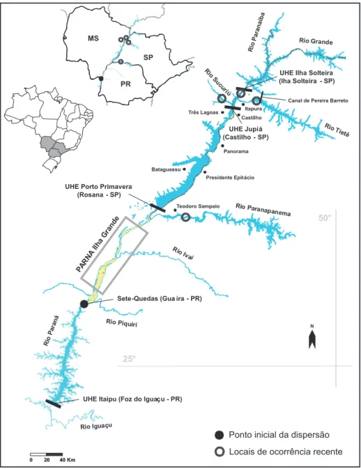 FIGURA 1 - Região do Alto Rio Paraná, Sudeste do Brasil. São demonstrados o ponto inicial de dispersão das  espécies de arraias na bacia e seus locais de ocorrência recente, além dos principais rios da área de estudo e  usinas hidrelétricas e eclusas insta