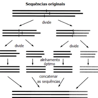 Figura 3.4: Exemplificação do funcionamento do algoritmo “Divide and conquer” de Stoye [71] 