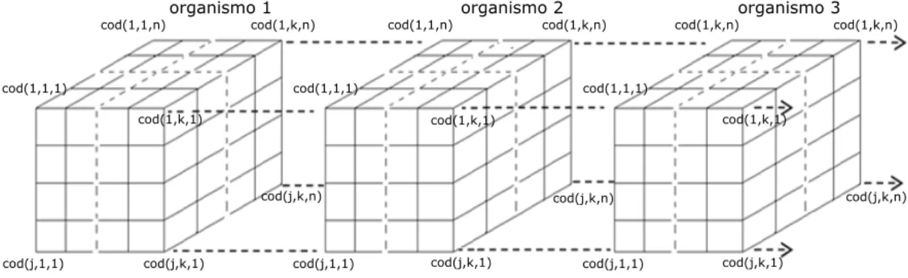 Figura 4.3: Representação matricial (4-D Cubo) dos dados resultantes das contagens de tripletos  de codões 