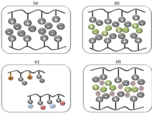 Figure  9|  Schematic  illustration  of  (a)  neat  PIL  membrane  (b)  PIL – IL  composite  membrane,  (c)  PIL  copolymer membranes, (d) PIL–IL–zeolite mixed matrix membrane