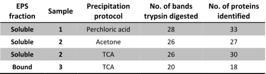 Table  3.2:  Protein  identification  results  from  selected  bands  subjected  to  trypsin  digestion  and  MALDI-MS analysis