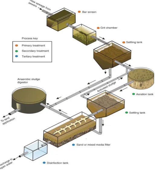 Figure  1.1:  Schematic  of  a  wastewater  treatment  plant.  (Adapted  from  Maier  et  al