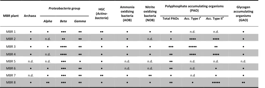 Table 2.4: Semi-quantification of microbial population by FISH through epifluorescence microscopy  MBR plant  Archaea  Proteobacteria group  HGC   (Actino-bacteria)  Ammonia oxidizing bacteria  (AOB)  Nitrite  oxidizing bacteria (NOB) 