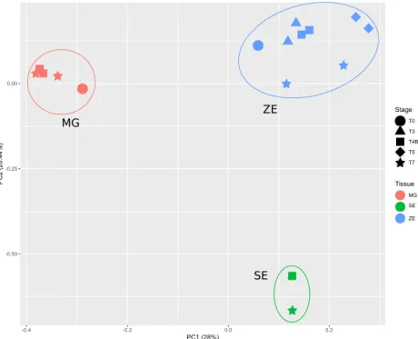 Figure 4.  Principal Component Analysis of all sRNA libraries using the transformed expression values,  ln(counts per million, CPM), for each conserved or novel miRNA