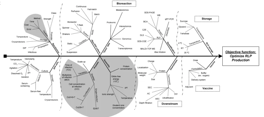 Figure 5. Ishikawa diagram of the main bioengineering challenges of RLP production in the baculovirus/insect cell system
