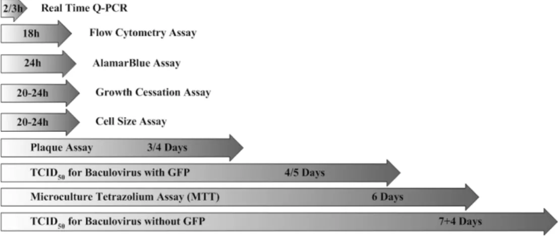 Figure 7. Overview of recombinant baculovirus titration methods and time required to  perform each method