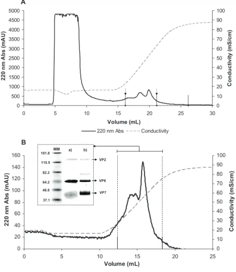Figure 2.1: Chromatograms demonstrating the binding uptake of RLPs present in a clarified sample: the matrix was equilibrated with D-PBS, then a 5 mL sample was loaded and eluted in 4 column volumes (CVs) with a linear gradient of up to 1 M NaCl; The pool 
