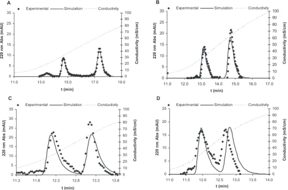 Figure 2.5: Simulations performed against experimental data of anion-exchange membrane chro- chro-matography runs of purified RLPs varying the linear gradient slope: A, 12 CV; B, 6 CV; C, 3 CV;