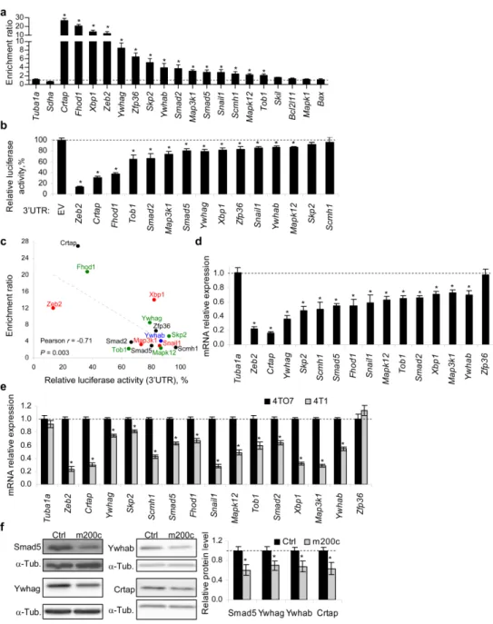 Figure 13. Experimental validation of miR-200c target genes identified by the PD (a) Bi-miR- Bi-miR-200c enrichment ratio R in 4TO7 cells 24 h after transfection with Bi-miR-Bi-miR-200c or  Bi-cel-miR-67 mimics by qRT-PCR normalized to Gapdh for 18 genes c