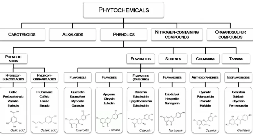 Figure 1.1. Classification of dietary phytochemicals (adapted from Liu, 2004) 