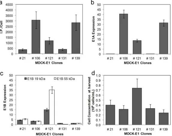 Figure 2 – Cell specific productivity and corresponding E1 gene expression of MDCK-E1 cell clones