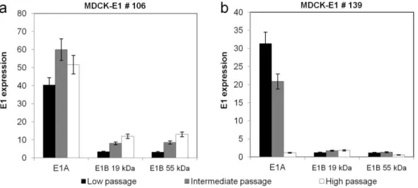 Figure 4 – Levels of mRNA of E1A and E1B over increasing cell culture passages for MDCK-E1 clone 
