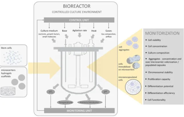 Figure 1.6. Schematic representation of stirred tank bioreactor system for stem cell  cultivation