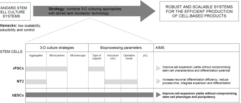 Figure  1.7.  Diagram  of  the main  aims proposed  for  this  thesis.  Highlighted in  grey  are  the  strategies addressed  for each stem cell  system