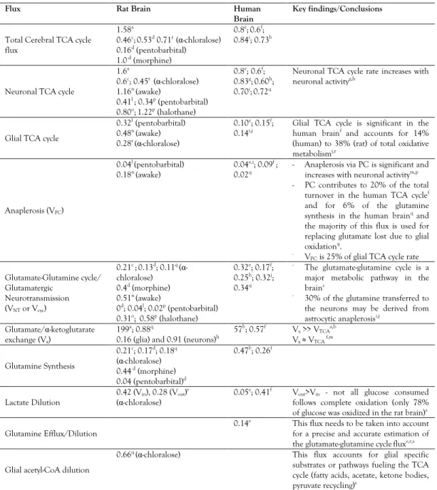 Table  1.2  -  Summary  of  the  main  cerebral  metabolic  fluxes  (µmol  min -1 g -1 )  estimated  using  metabolic  modelling of in vivo  13 C NMR data and key findings from these studies