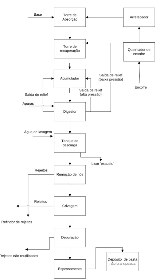 Figura 1. 9. Flowsheet do processo de cozimento ao sulfito [8]. 