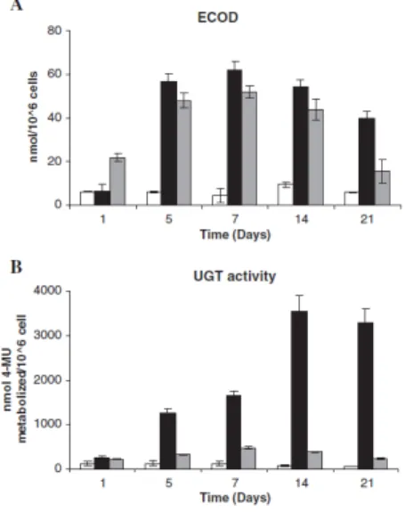 Figure  2.6.:  Functional  capacity  of  hepatocytes  over  long-term  cultivation  periods  was  assessed  by  determining  (A)  urea  production  and  (B)  albumin  secretion  by  the  cells  cultured  in  monolayer  2D  (white  bars),  bioreactor  3D  (