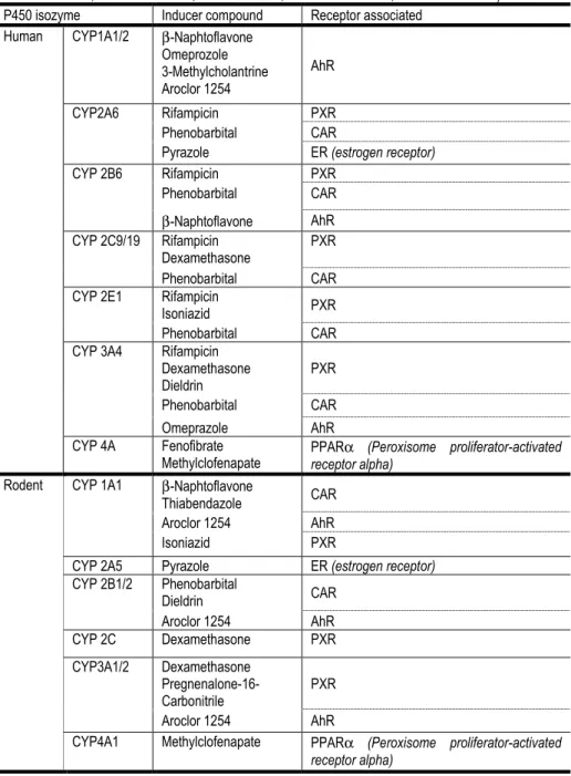 Table 1.2: Human and rodent main CYP P450 isoforms with the respective inducers and receptors  associated