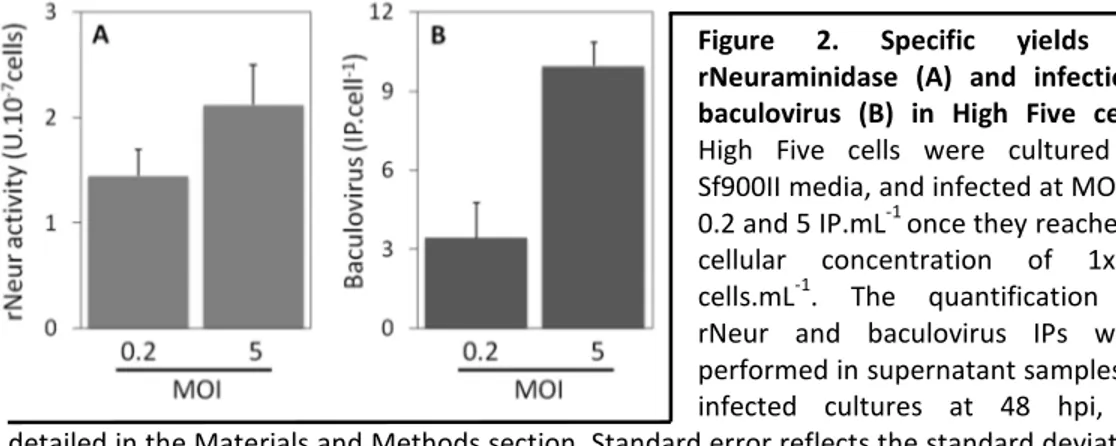 Figure  2.  Specific  yields  of  rNeuraminidase  (A)  and  infectious  baculovirus  (B)  in  High  Five  cells