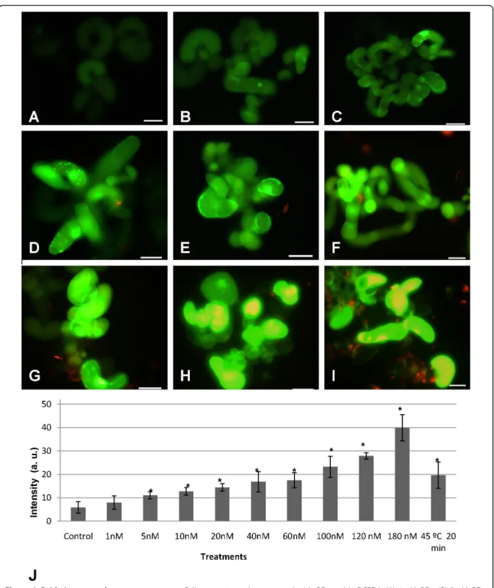 Figure 9 Oxidative stress dose response assay. Cell suspension cultures treated with QDs and H 2 DCFDA: (A) 1 nM QDs, (B) 5 nM QDs, (C) 10 nM QDs, (D) 20 nM QDs, (E) 40 nM QDs, (F) 60 nM QDs, (G) 100 nM QDs, (H) 120 nM QDs, (I) 180 nM QDs