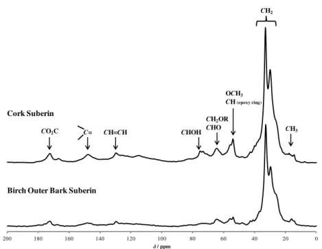 Figure  2|   13 C  CP/MAS  NMR  spectra  of  cork  suberin  and  birch  outer  bark  suberin  extracted  with  cholinium hexanoate