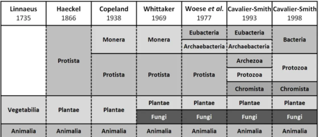 Fig. 1.1. Schematic representation of the presence of the kingdom  Fungi along the different  classification  systems  proposed  by  Linnaeus,  Haeckel,  Copeland,  Whittaker,  Woese  et  al
