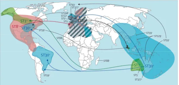 Figure  4. Global  distribution  and  routes  of  dissemination  of  CA-MRSA  lineages