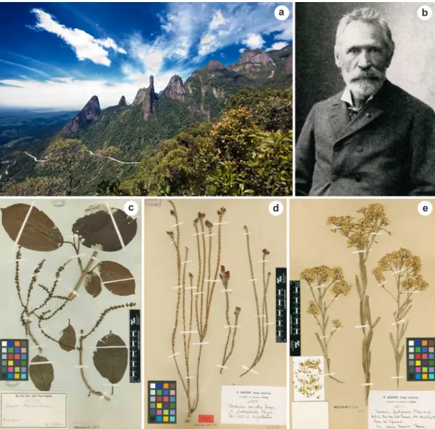 Figure 9 – Portrait, region of collection and plant specimens collected by Auguste Glaziou – a