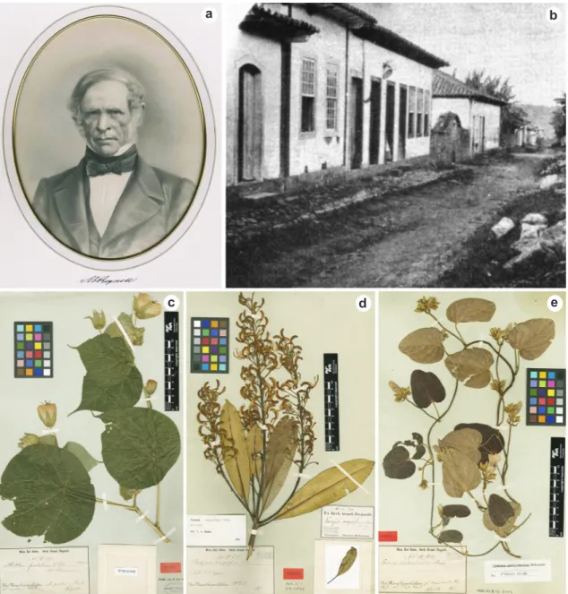Figure 3 – Portrait, house, and type specimens collected by Anders Regnell – a. portrait in graphite of Anders Regnell,  unknown authorship, with his personal rubric, item from Regnellian herbarium collection; b
