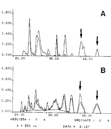 Fig. 4 - Densitometric analysis of nitrocellulose strips from immunoblot corresponding to Case B (panel B, Fig