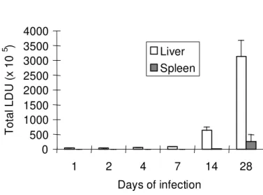 Fig 2. Parasite burden during leishmanial infection. Giemsa-stained impression smears from liver and spleen were microscopically assessed