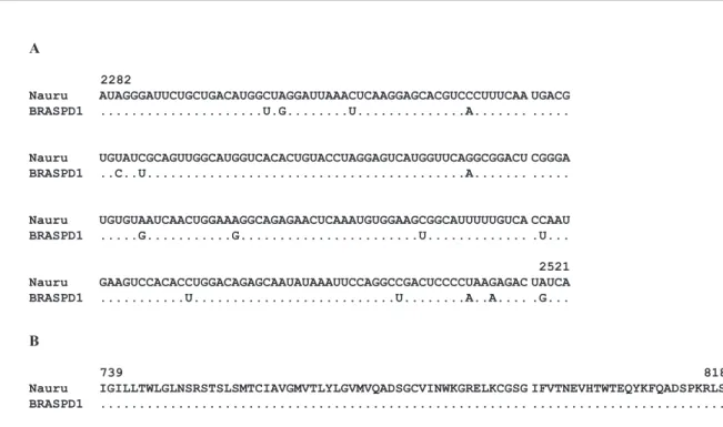 Fig. 3 - Aligned nucleotide (A) and deduced amino acid (B) sequences of the E/NS1 gene junction of BRASPD2 (SPH 194757d2 strain) and the reference PR159S1 strain