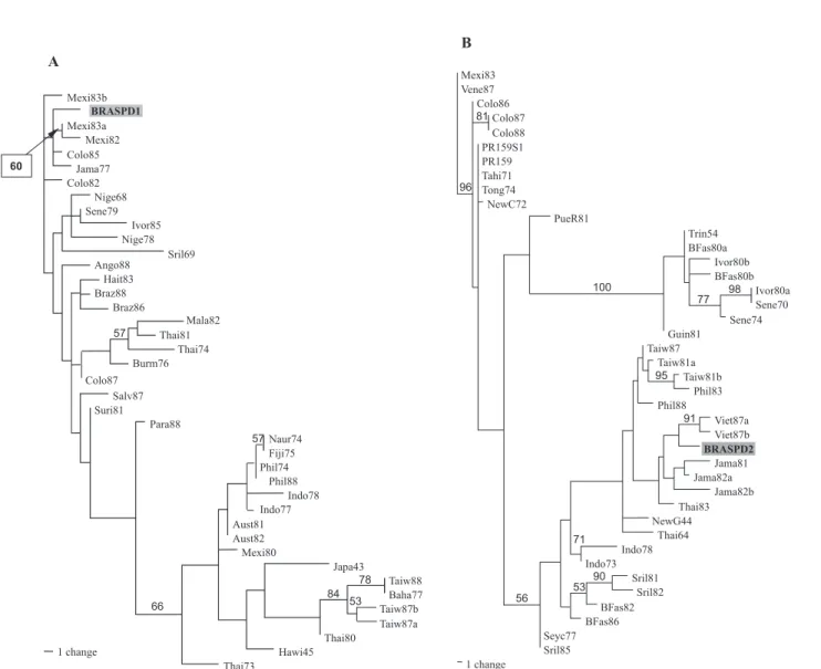 Fig. 4 - Maximum likelihood reconstructions for the E/NS1 sequence data for DEN-1 and DEN-2 viruses (SYM + I + G model, -loglikelihood = 1121.34455 for DEN-1 and GTR + G model, -loglikelihood = 1304.52350 for DEN-2)