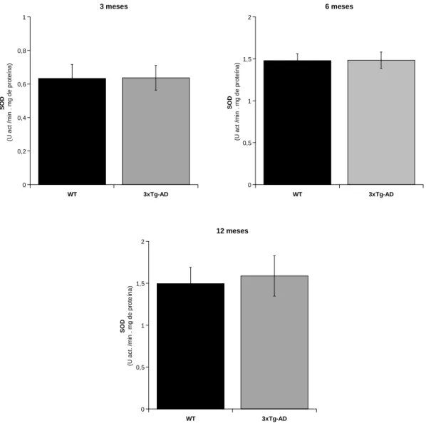 Figura 4.3 Actividade da SOD avaliada em tecido do músculo esquelético de murganhos 3xTg-AD  e  WT  com  idades  de  3,  6  e  12  meses