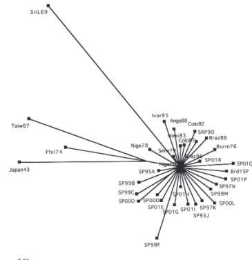 Fig. 2 - A graphical representation of the split-decomposable part of the evolutionary distance between DEN-1 sequence data generated using the distance matrix obtained under the TrNef + Γ model (drawn to scale; force triangle inequalities).