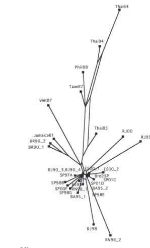 Fig. 4 - A graphical representation of the split-decomposable part of the evolutionary distance between DEN-2 sequence data generated using the distance matrix obtained under the GTR + Γ model (drawn to scale; force triangle inequalities).