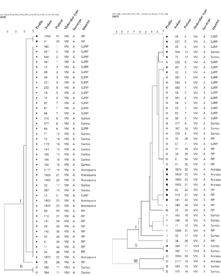 Fig. 3 - Dendrogram of the PCR-fingerprinting patterns obtained from C. neoformans isolates with primer (GACA) 4.