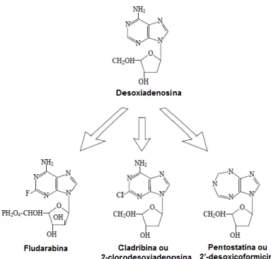 Figura  12.  Estrutura  da  desoxiadenosina  e  dos  respetivos  análogos  usados  no  tratamento  de  NHL  B  (Adaptado  (Greer, 2013))