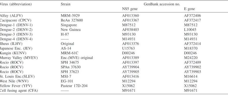 Fig. 1 - Agarose gel electrophoresis analysis of one-step RT-PCR products from RNA extracted from mouse brain infected with strains SPAn37630 and SPH37623 using specific primers for E and NS5 genes regions of ROCV