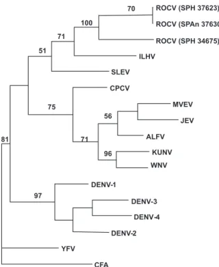 Fig. 3 – Phylogram generated by MP analysis of the partial nucleotide sequences of the NS5 gene of ROC viruses and other flaviviruses obtained from GeneBank