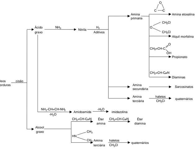 Figura  3.16  –  Fluxograma  com  o  resumo  das  rotas  de  produção  das  aminas  e  seus  derivados (NEDER, 2005)