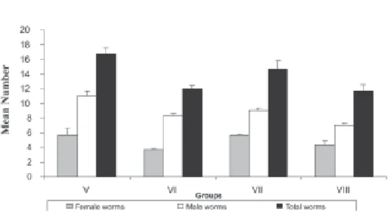Fig. 5 - Mean number of adult worms recovered from S. mansoni-infected mice after administration of aqueous garlic extract (AGE, 125 mg kg -1 ) and Nigella sativa oil (NSO, 0.2 mg kg -1 ) separately or in combination