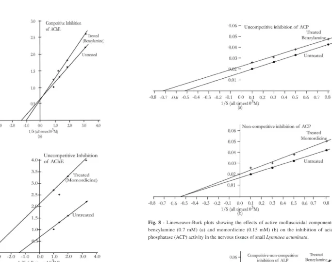 Fig. 7 - Lineweaver-Burk plots showing the effects of active molluscicidal components  benzylamine (0.7 mM) (a) and momordicine (0.15 mM) (b) on the inhibition of  acetylcholinesterase (AChE) activity in the nervous tissues of snail Lymnaea acuminata.