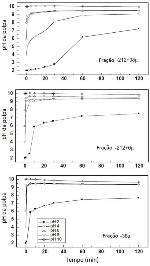 Figura 3.19: Variações no pH da polpa em função do tempo para diferentes faixas  granulométricas de wollastonita condicionadas em água
