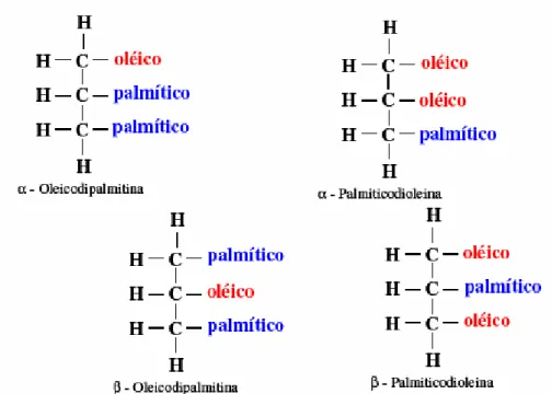 Figura 4. Forma isomérica de triglicerídeos compostos com dois ácidos gordos diferntes